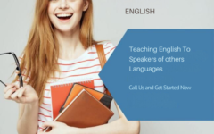 british TESOL (800 x 670 piksel)